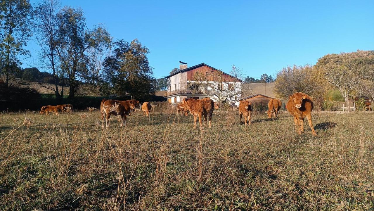 Le Jardin De Moulis Bed and Breakfast Eksteriør billede